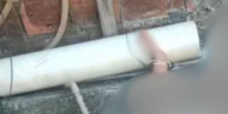 Menina de 4 anos é resgatada após ser amarrada pela tornozelo pelos pais no quintal de casa