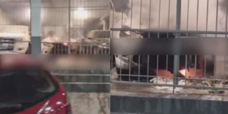 Incêndio quase destrói concessionária de veículos no bairro Japiim; veja o vídeo