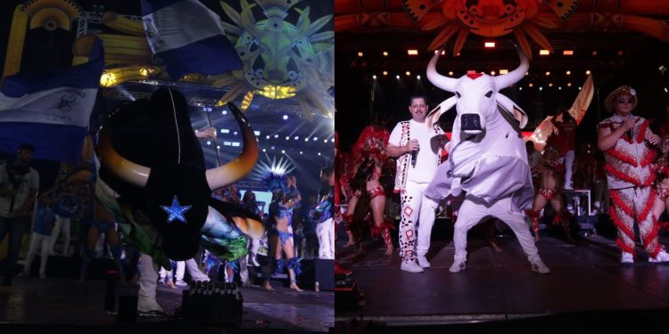 Ensaios dos Bumbás estreia com mais de 10 mil pessoas no Sambódromo; veja programação