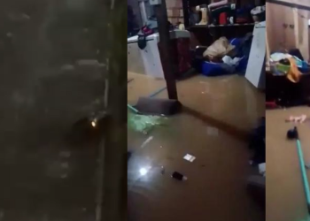 No total, foram registrados 37 chamadas. Foto: Reprodução