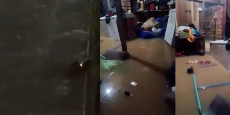 No total, foram registrados 37 chamadas. Foto: Reprodução