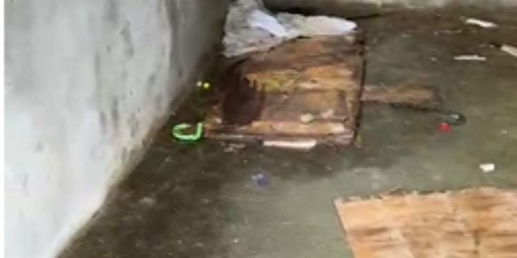 A vítima tem entre 45 e 60 anos. Foto: Reprodução