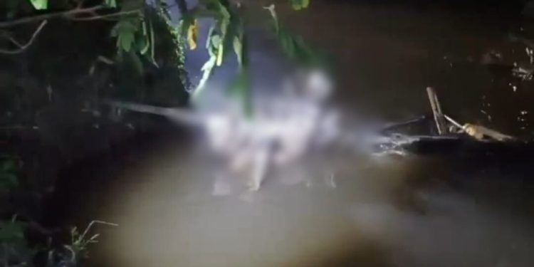 Corpo deg0lad0 e com marcas de t0rtur4 é encontrado dentro de igarapé no Santa Etelvina