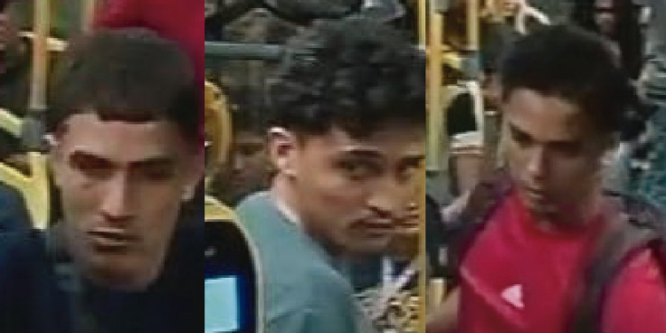 Denúncias podem ser feitas pelos números (92) 98827-8814, 3667-7543 (Nurrc) ou pelo 181 (SSP-AM). Foto: Divulgação/PC-AM