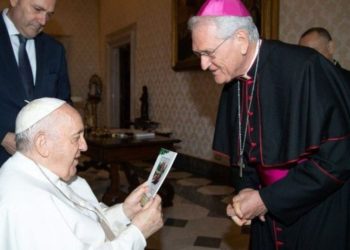 Agência de notícias aponta arcebispo de Manaus como possível sucessor do Papa