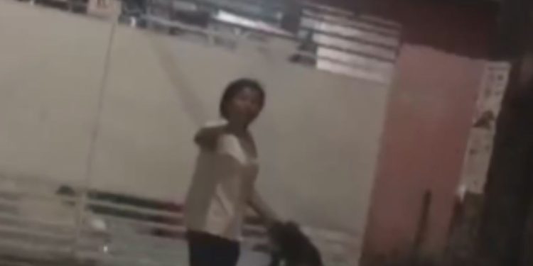 Vídeo: Mãe com bebê no colo é agredid4 brut4lmente em via pública no Alvorada