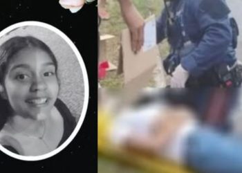 Aluna de 13 anos não resiste após ser atropel4da em faixa de pedestres na saída da escola em Manaus