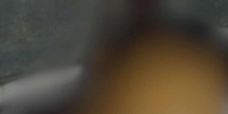 Veja: Homem de 30 anos é achado m0rt0 de cueca em ramal de Iranduba com sinais de ex3cuçã0