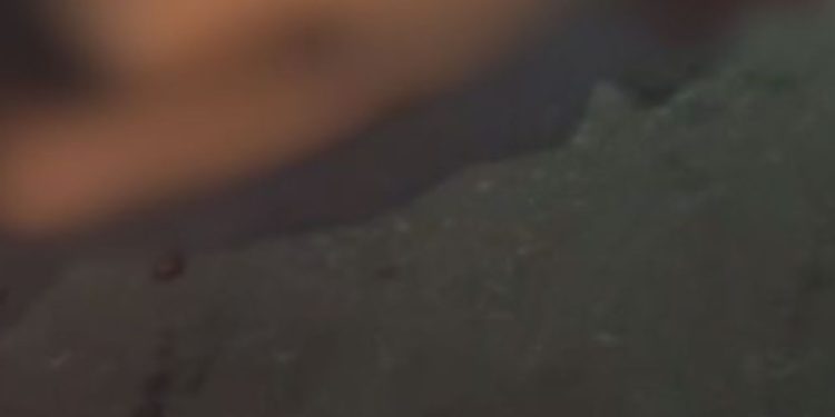 Vídeo: Após dever traficantes, 'Wandinho' fica ag0niz4nd0 com t1r0s na cabeça no Alvorada