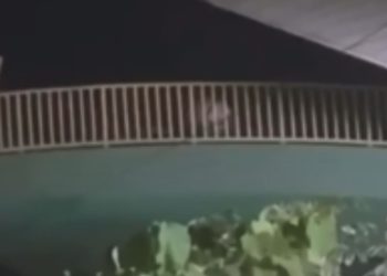 Flagra: vídeo mostra 'mén4ge' durante a noite na passarela da Darcy Vargas