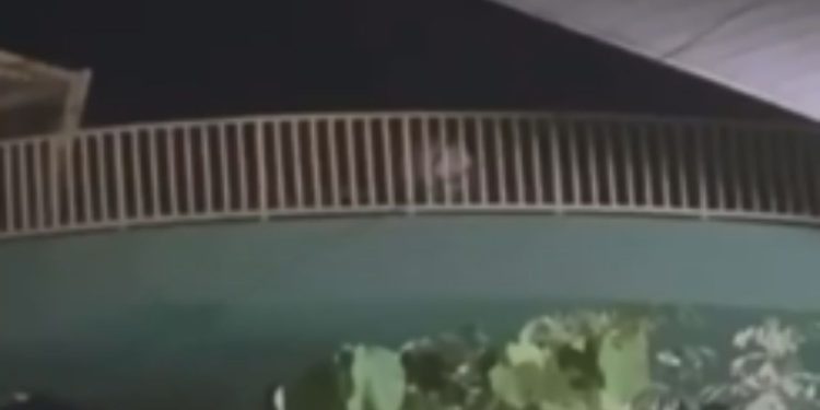 Flagra: vídeo mostra 'mén4ge' durante a noite na passarela da Darcy Vargas