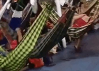 Pânico no Rio Solimões: Passageiros passam uma hora parados após barco colidir em árvore