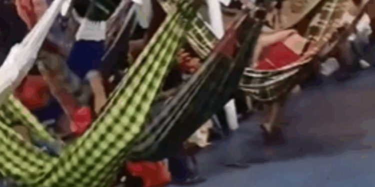 Pânico no Rio Solimões: Passageiros passam uma hora parados após barco colidir em árvore