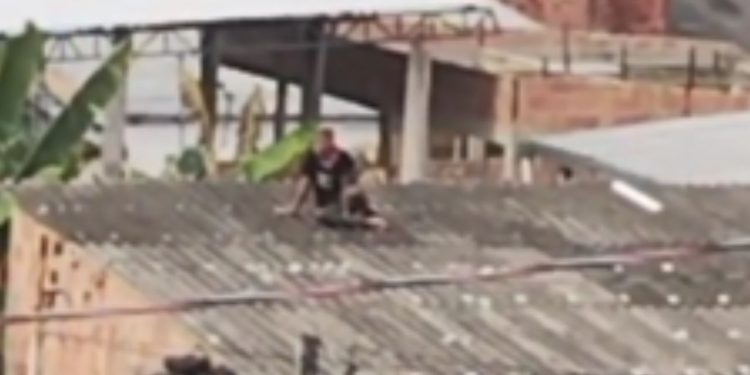 Com medo do tribunal do cr1me, bandido sobe no telhado e clama pela polícia em Manaus: 'polícia, por favor'