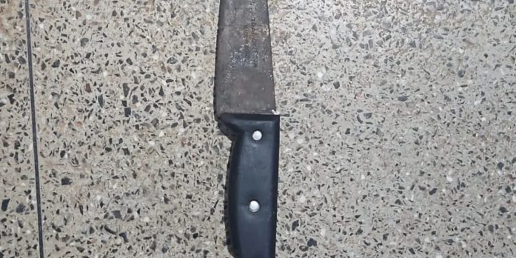 Mulher é presa no interior do Amazonas após tentar agr3dir filhas com terçado