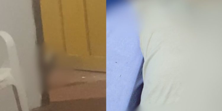 Veja: No São Raimundo, pist0leiros tiram a vida de jovem de 22 anos dentro de kitnet