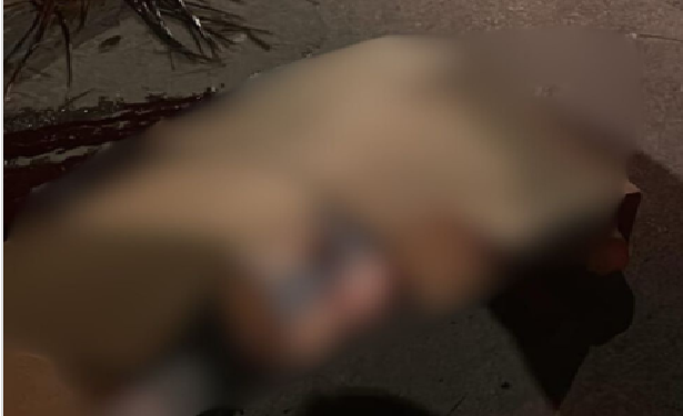 O crime ocorreu na noite deste sábado (28). Foto: Reprodução