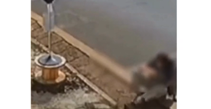 O incidente ocorreu no início deste mês na rua Domingos José Vieira. Foto: Divulgação