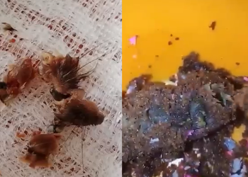 A panificadora nega e se manifestou nas redes sociais. Foto: Reprodução