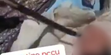 Facção divulga vídeo com c4beça do 'Argentino' dec4pitad0 em Manaus: 'Mat4d0r de inocente'