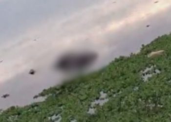 VÍDEO: Com marcas de agressão, homem é achado b0iand0 em igarapé no Educandos