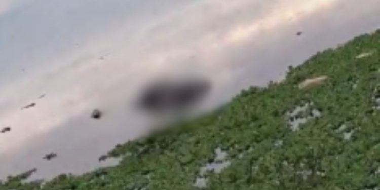 VÍDEO: Com marcas de agressão, homem é achado b0iand0 em igarapé no Educandos