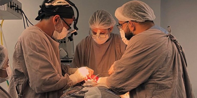 A cirurgia, que durou cerca de dez horas, foi concluída na madrugada de quinta-feira (03). Foto: Amanda Amorim/FHAJ