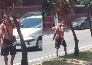 A origem do réptil e a identidade do homem ainda são desconhecidas. Foto: Reprodução