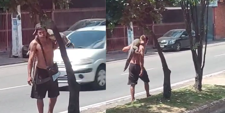 A origem do réptil e a identidade do homem ainda são desconhecidas. Foto: Reprodução