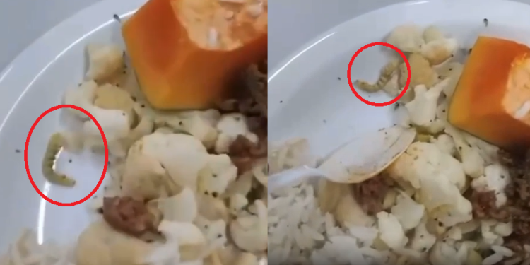 As imagens do alimento contaminado, registradas pelos profissionais, viralizaram nas redes sociais e causaram indignação. Foto: Reprodução