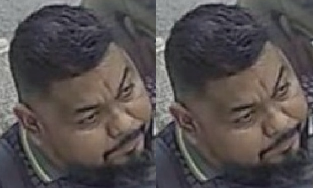 As denúncias podem ser feitas pelos números (92) 98513-3618, do 12º DIP, ou pelo 181, da SSP-AM. Foto: Divulgação/PC-AM