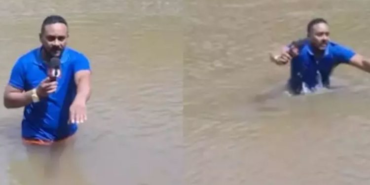 Veja: Em transmissão, repórter pisa acidentalmente no corpo de garota que desapareceu: 'Tem um negócio aqui'