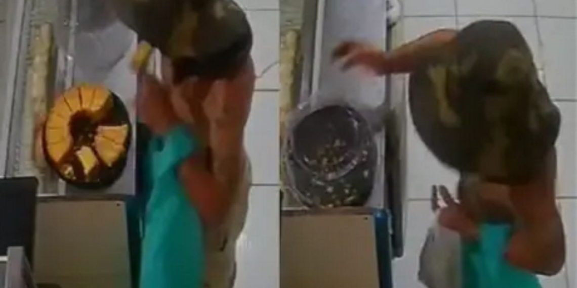Pela madrugada, ‘Bisteca’ invade padaria e furta bolo e moedas no interior do Amazonas; VÍDEO