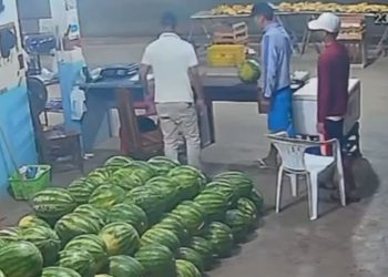 Vídeo mostra dupla tentando ass4ltar hortifrúti em Itacoatiara se passando por clientes