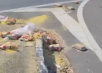 'Grãos de ouro': Acidente com Kombi carregada de farinha causa lentidão na Avenida das Torres; vídeo