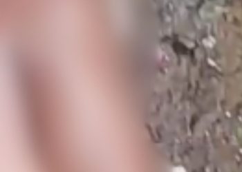 Vídeo: Em Coari, homem conhecido como ‘Ninja’ é esp4ncad0 e b4lead0 em tribun4l do cr1m3