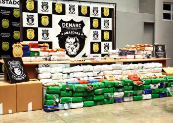 No local onde as drogas foram apreendidas, também foram encontrados 70 galos. Foto: Lyandra Peres/PC-AM