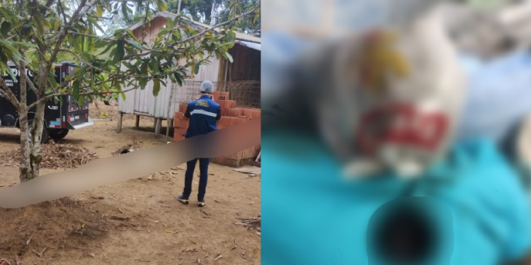 A investigação continua em busca de um segundo envolvido, que permanece foragido. Foto: Reprodução