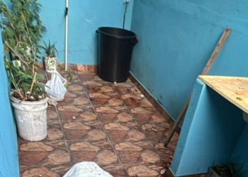 O crime ocorreu nesta madrugada (31). Foto: Reprodução