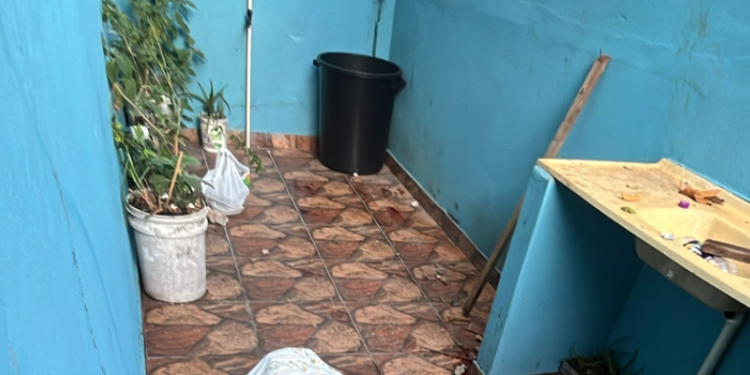 O crime ocorreu nesta madrugada (31). Foto: Reprodução