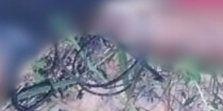 Veja: corpo com sinais de t0rtur4 é encontrado por grupo de oração em área de mata no Nova Cidade