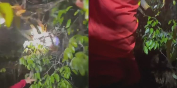 Naufrágio em Maués deixa professor e garoto presos em galhos de árvore