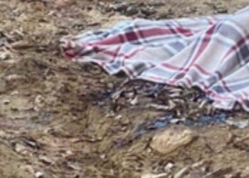 Caseiro é achado sem vida em terreno no genro no Ramal do Pau Rosa