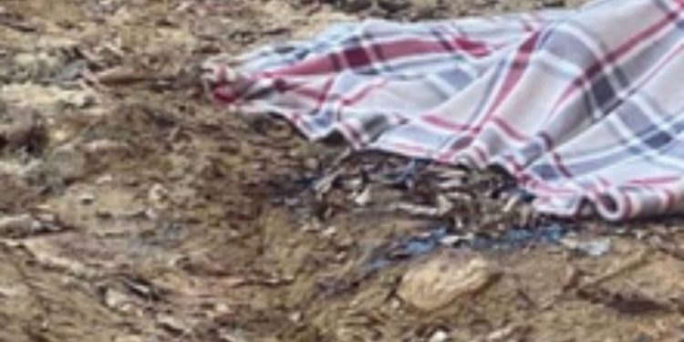 Caseiro é achado sem vida em terreno no genro no Ramal do Pau Rosa