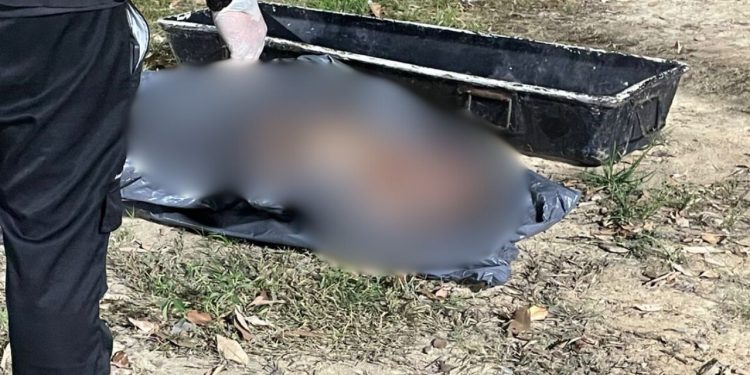 Vídeo: Homem é arrastado, t0rtur4do e m0rt0 com 19 tir0s em cova rasa na zona leste de Manaus