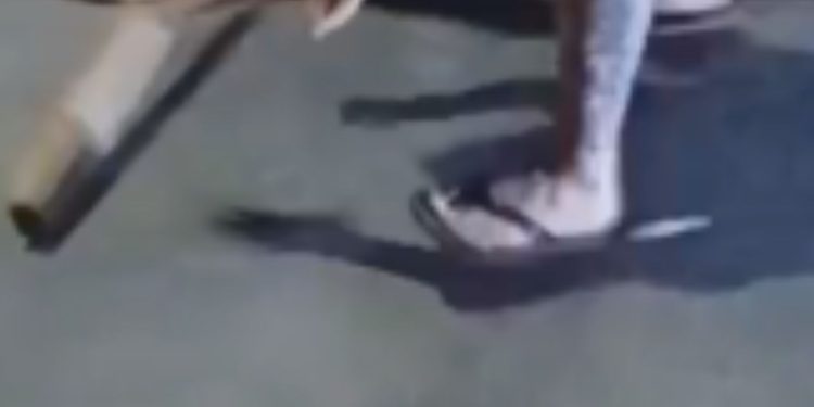 Vídeo: População do bairro Raiz decide faz 'justiça' e espanc4 suspeito de assalto até a m0rt3