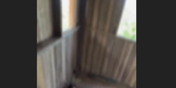 O crime ocorreu na na região conhecida como Ponte do Pera 4. Foto: Reprodução