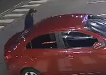 As denúncias podem ser feitas pelos números (92) 98513-3618, disque-denúncia do 12º DIP, ou pelo 181, da SSP-AM. Foto: Divulgação/PC-AM