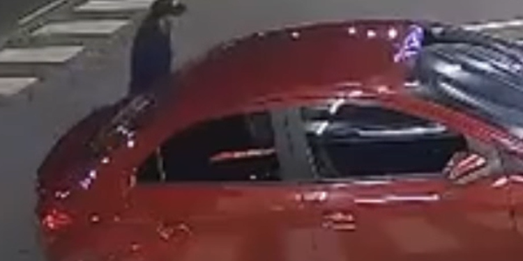 As denúncias podem ser feitas pelos números (92) 98513-3618, disque-denúncia do 12º DIP, ou pelo 181, da SSP-AM. Foto: Divulgação/PC-AM