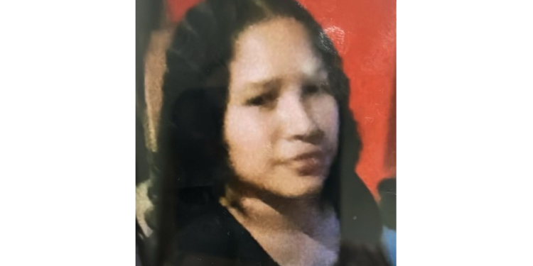 Gelson investiu contra ela com uma faca, atingindo-a no peito e próximo ao pescoço. Foto: Reprodução